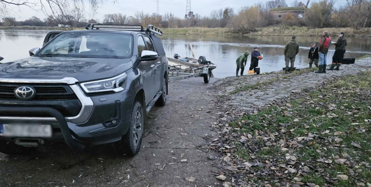 Badają ryby w Odrze