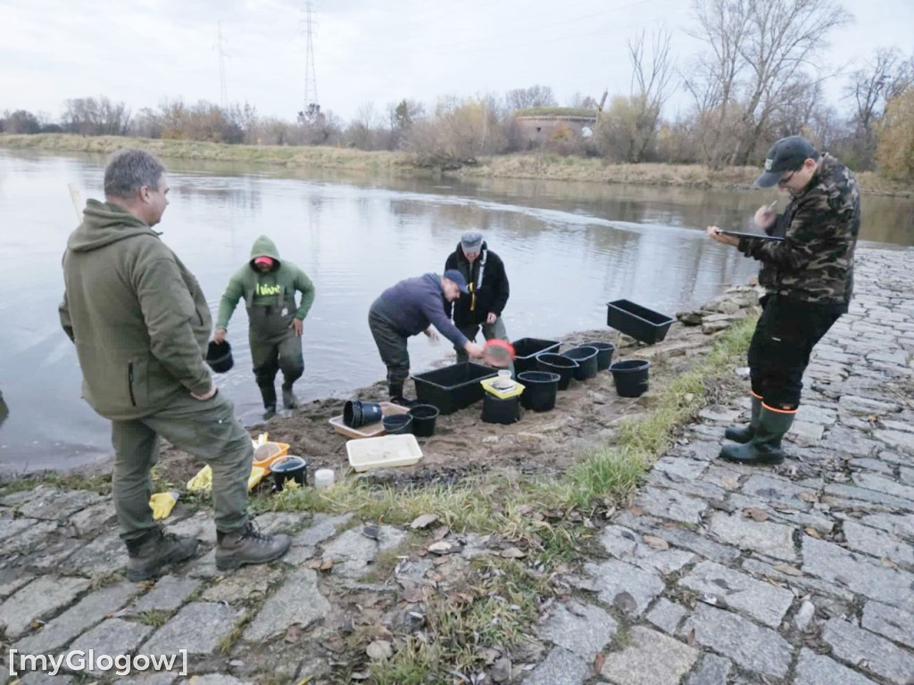 Badają ryby w Odrze