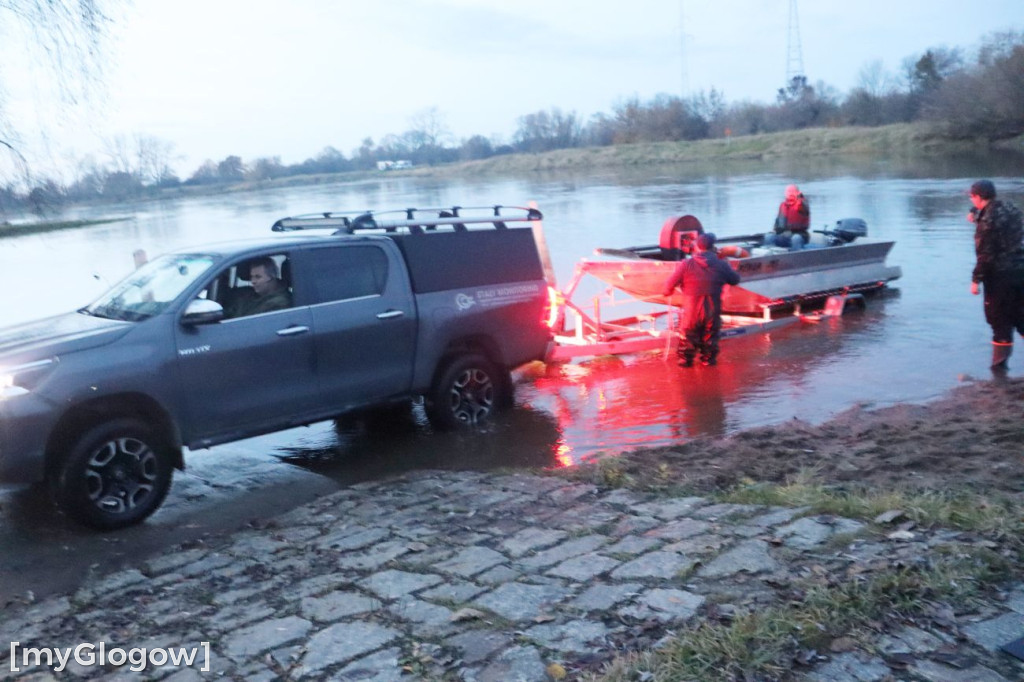 Badają ryby w Odrze