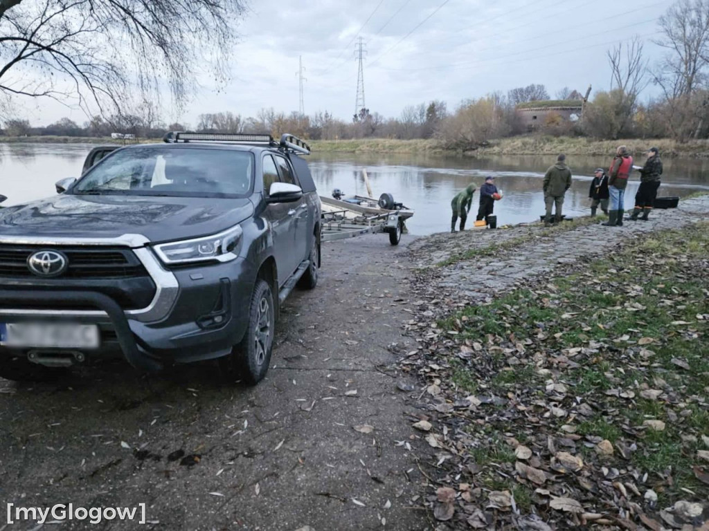 Badają ryby w Odrze