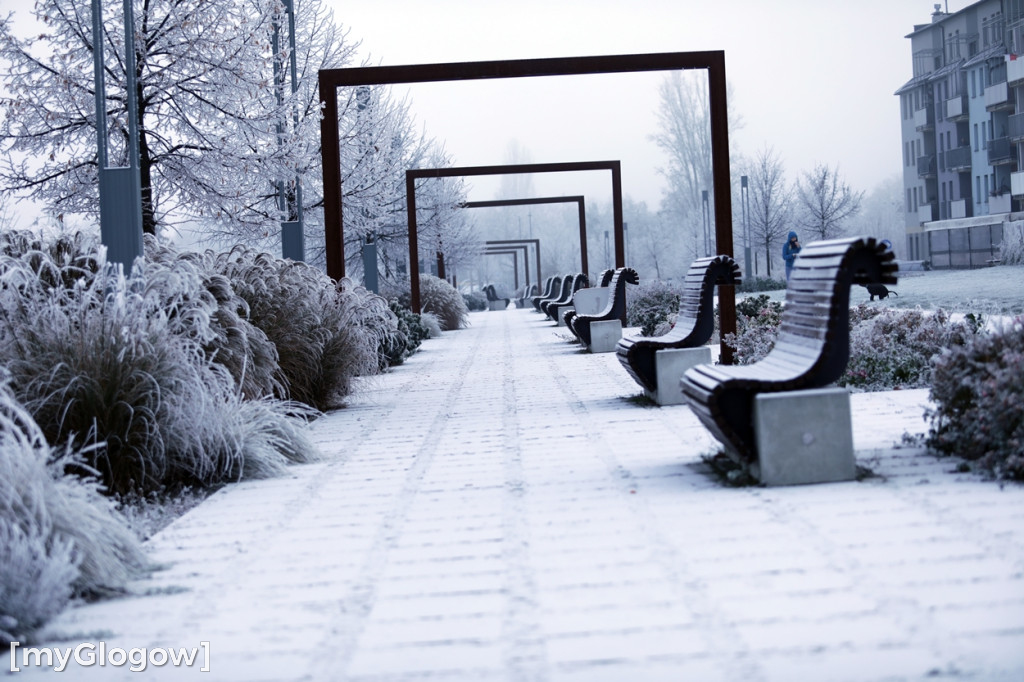 Mroźny, ale jak piękny poranek w Głogowie