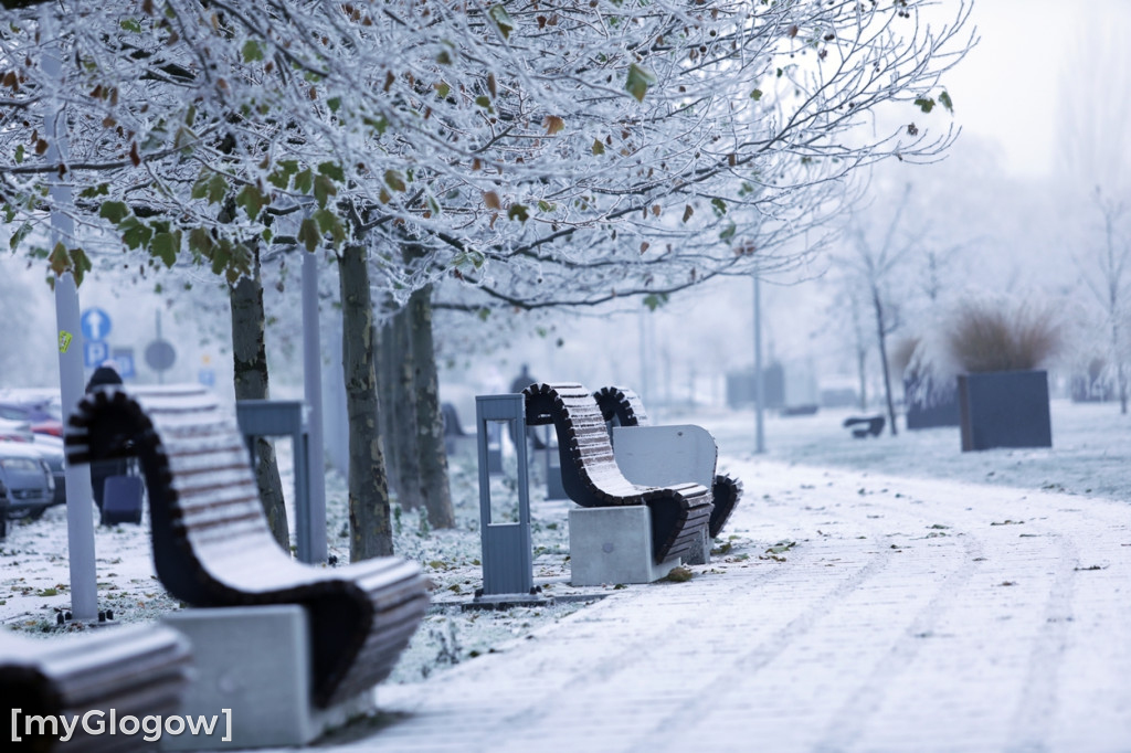 Mroźny, ale jak piękny poranek w Głogowie