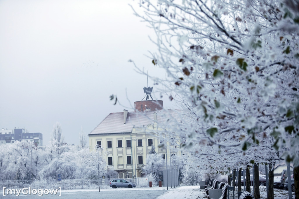 Mroźny, ale jak piękny poranek w Głogowie