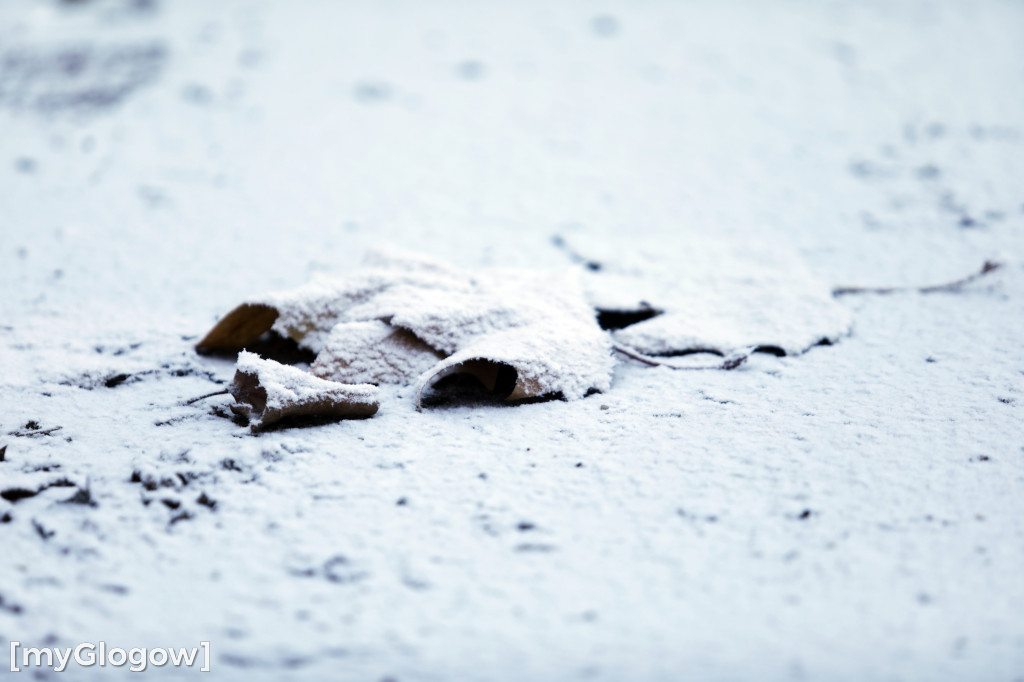 Mroźny, ale jak piękny poranek w Głogowie