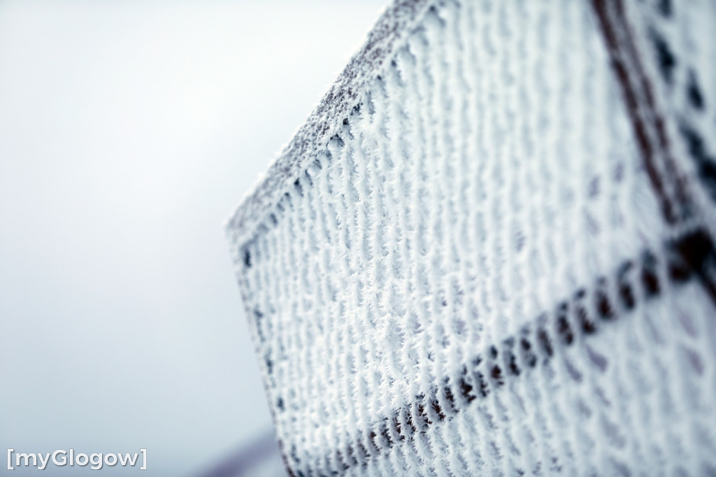 Mroźny, ale jak piękny poranek w Głogowie