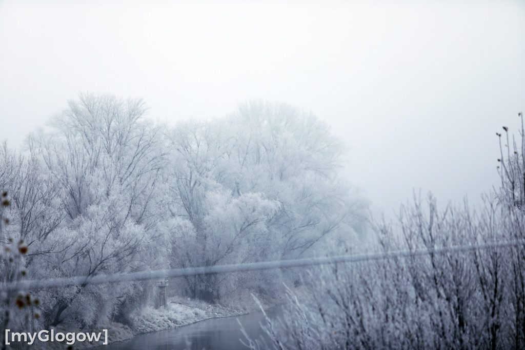 Mroźny, ale jak piękny poranek w Głogowie