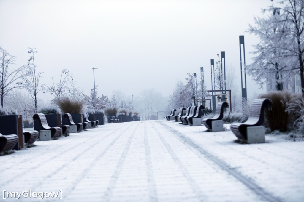 Mroźny, ale jak piękny poranek w Głogowie