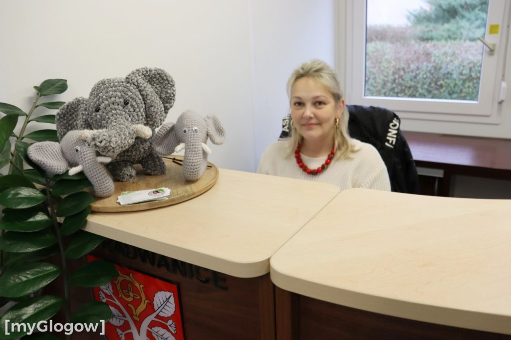 Kontenery i budowa urzędu w Radwanicach