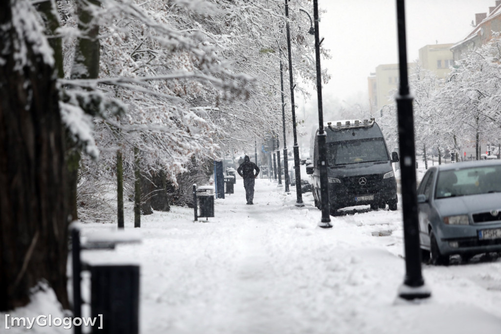 Zima w Głogowie! Ale zrobiło się biało