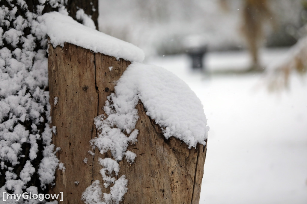 Zima w Głogowie! Ale zrobiło się biało