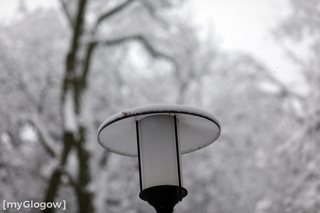 Zima w Głogowie! Ale zrobiło się biało