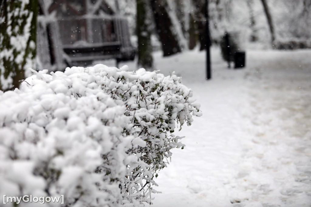 Zima w Głogowie! Ale zrobiło się biało