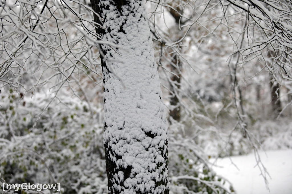Zima w Głogowie! Ale zrobiło się biało