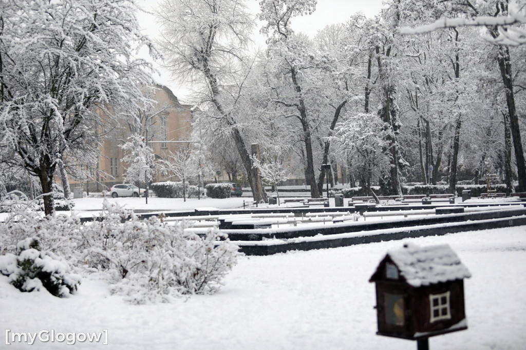 Zima w Głogowie! Ale zrobiło się biało
