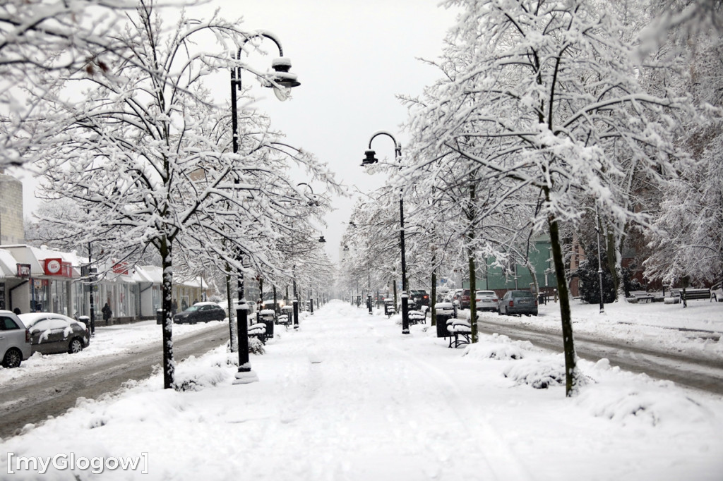 Zima w Głogowie! Ale zrobiło się biało