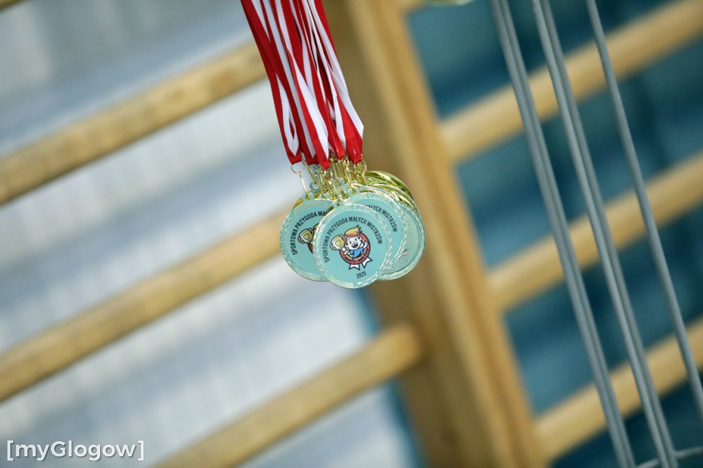 Piękny finał sportowej przygody