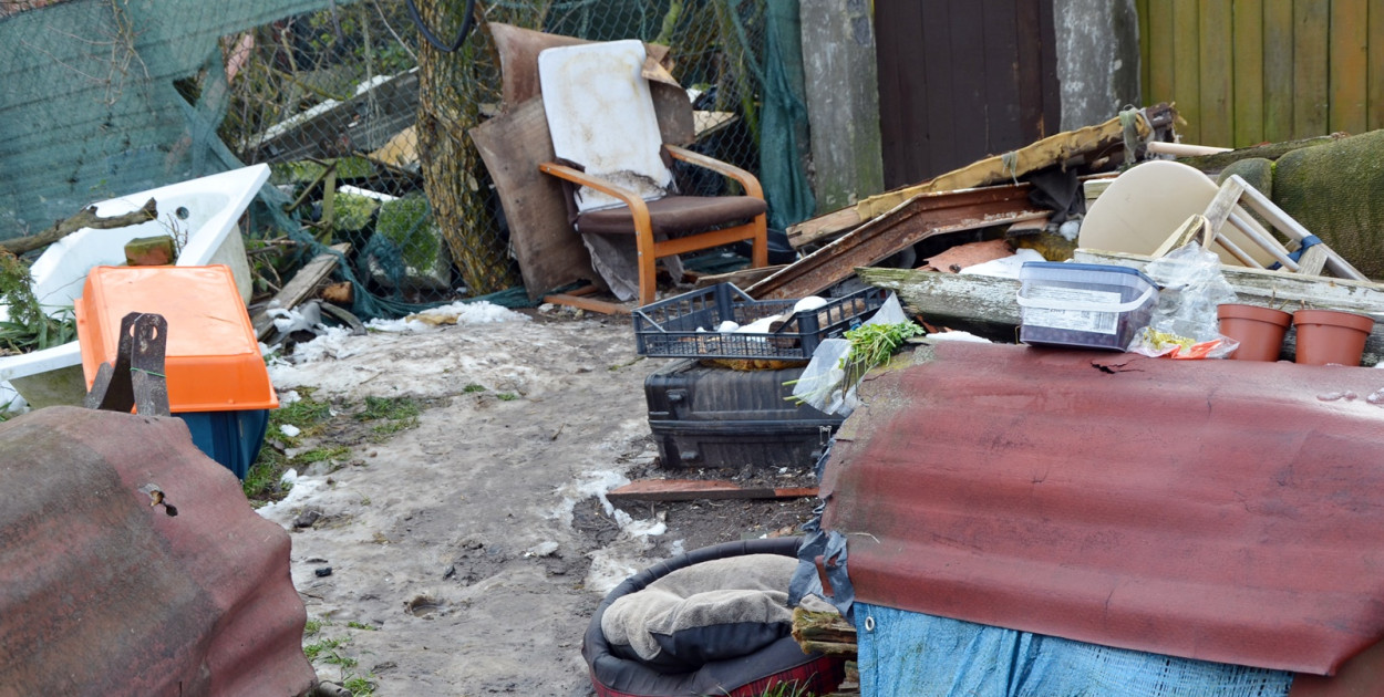 Zwierzęta żyły w strasznych warunkach