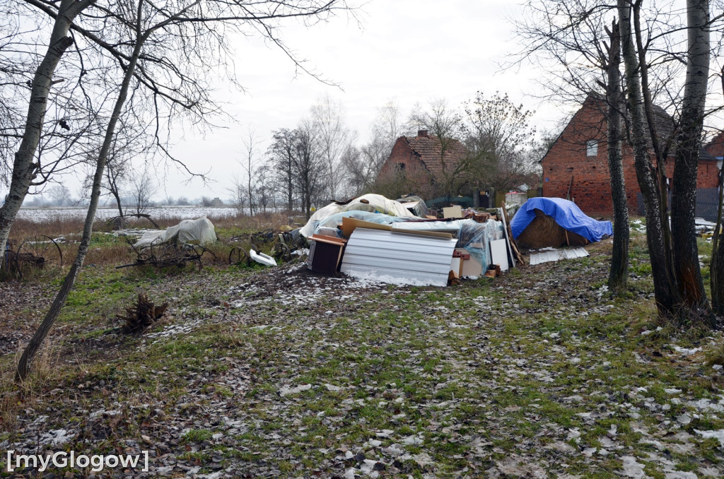Zwierzęta żyły w strasznych warunkach