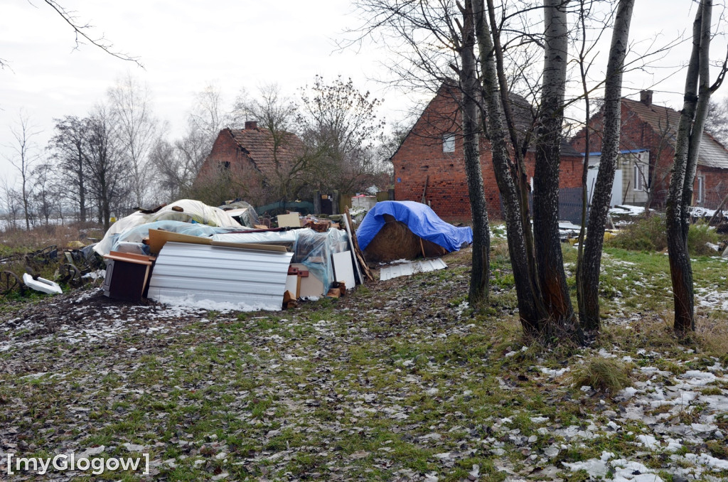 Zwierzęta żyły w strasznych warunkach