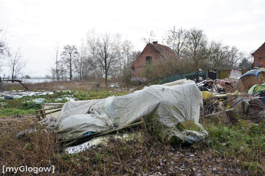 Zwierzęta żyły w strasznych warunkach