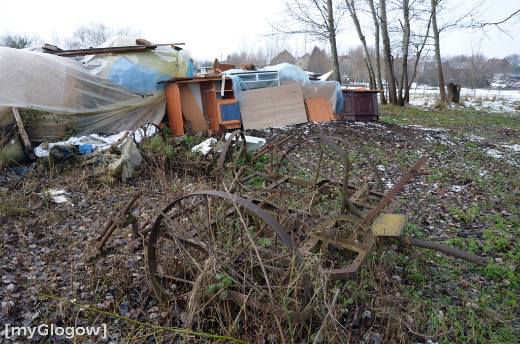 Zwierzęta żyły w strasznych warunkach