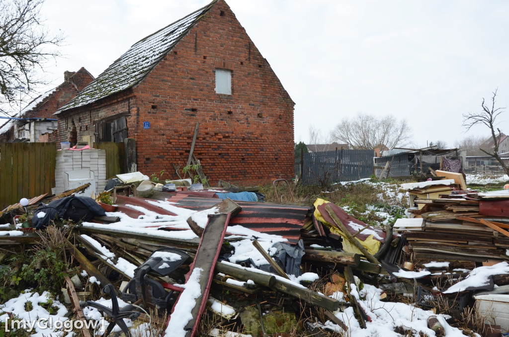 Zwierzęta żyły w strasznych warunkach