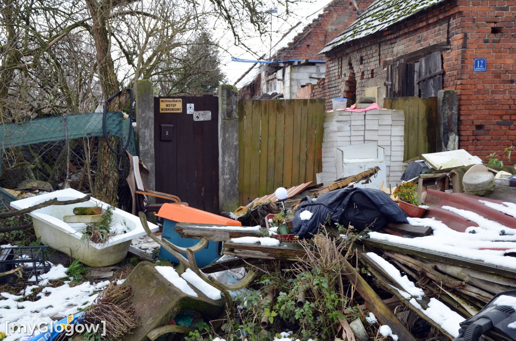 Zwierzęta żyły w strasznych warunkach