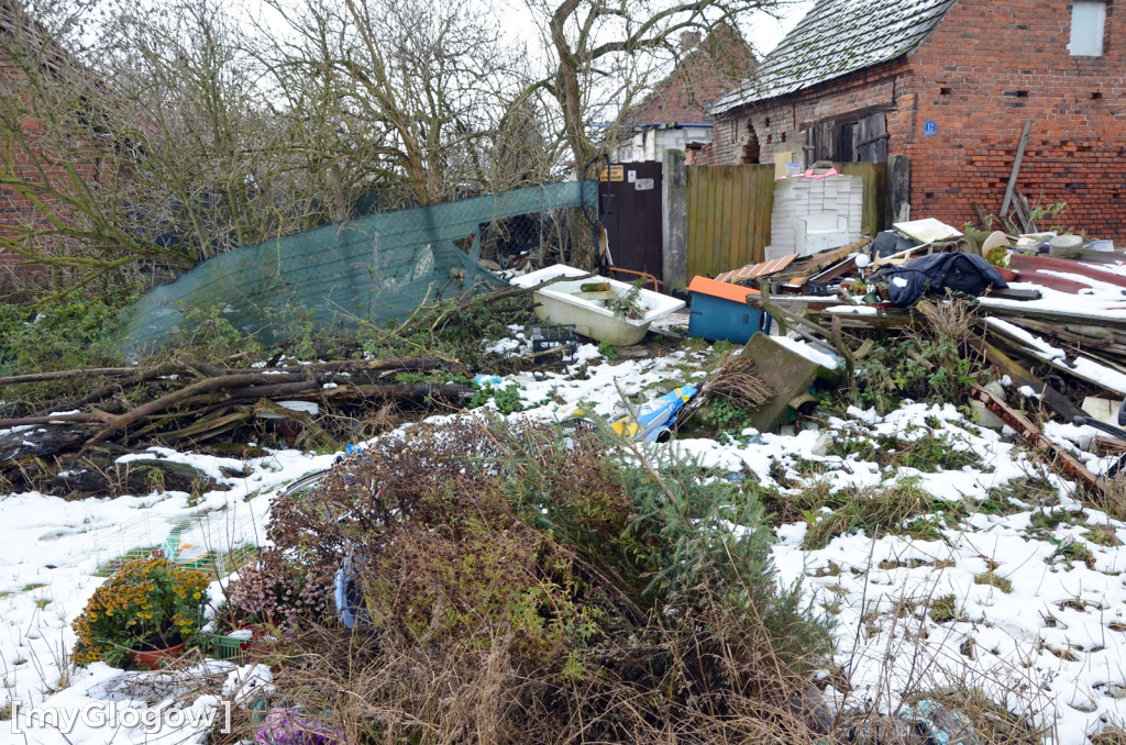 Zwierzęta żyły w strasznych warunkach