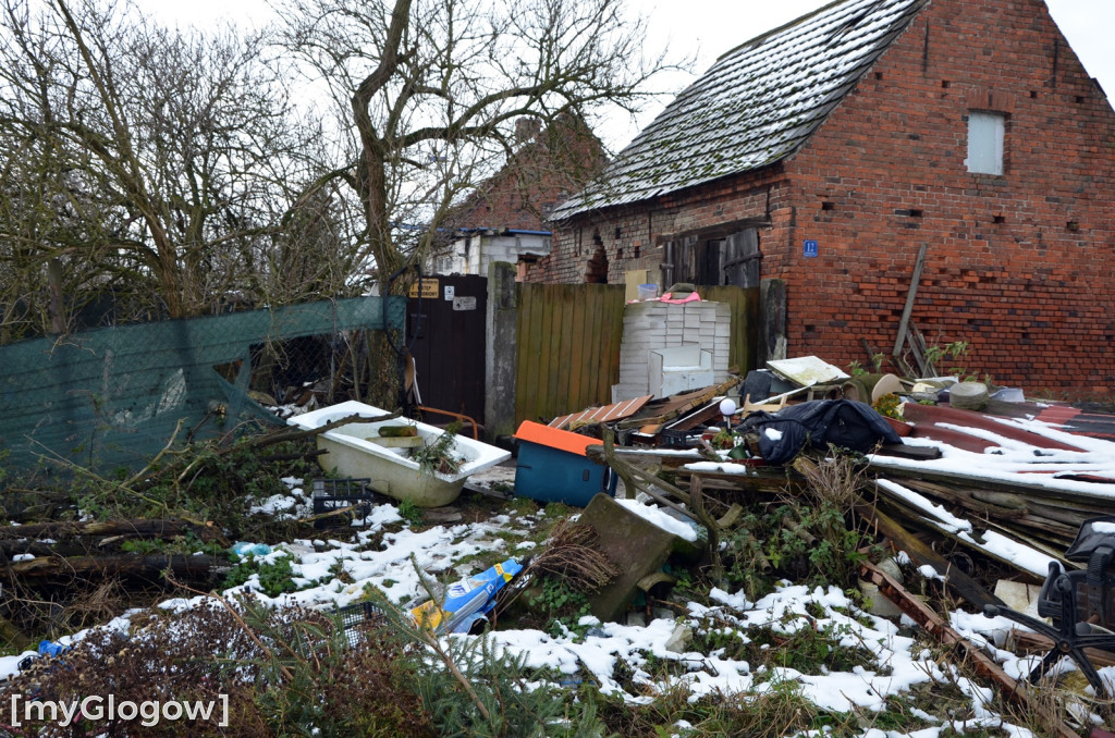 Zwierzęta żyły w strasznych warunkach