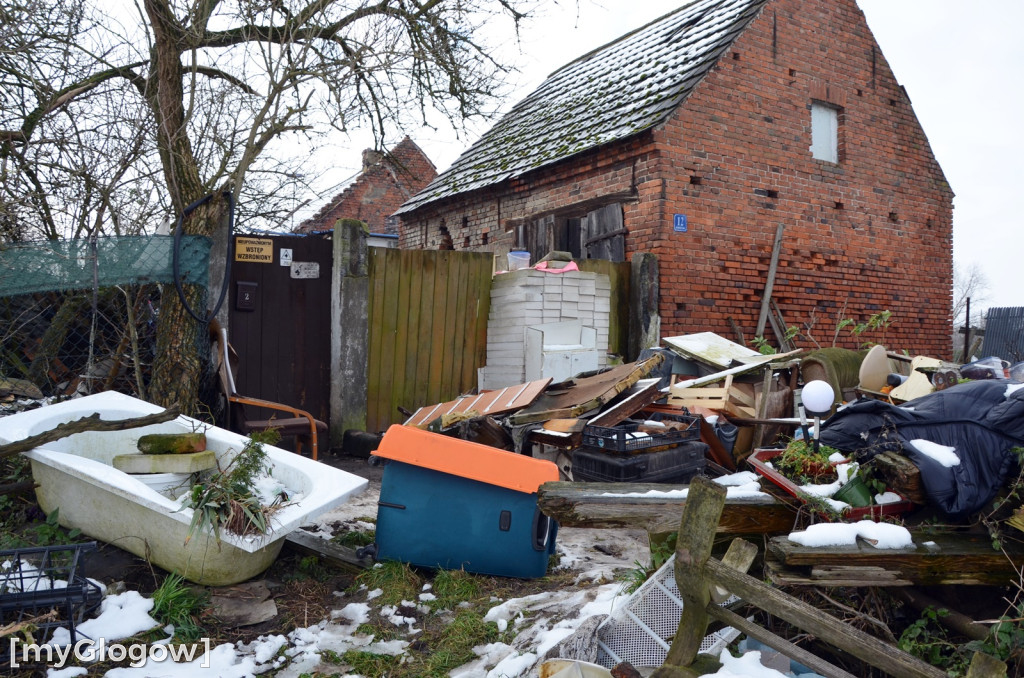Zwierzęta żyły w strasznych warunkach