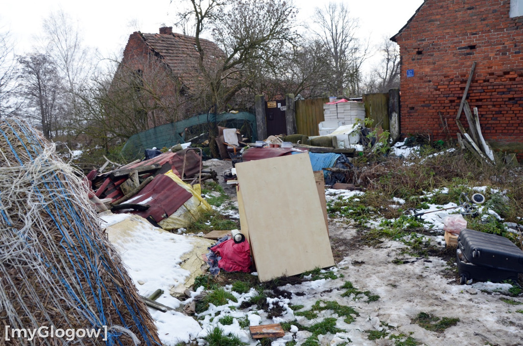 Zwierzęta żyły w strasznych warunkach