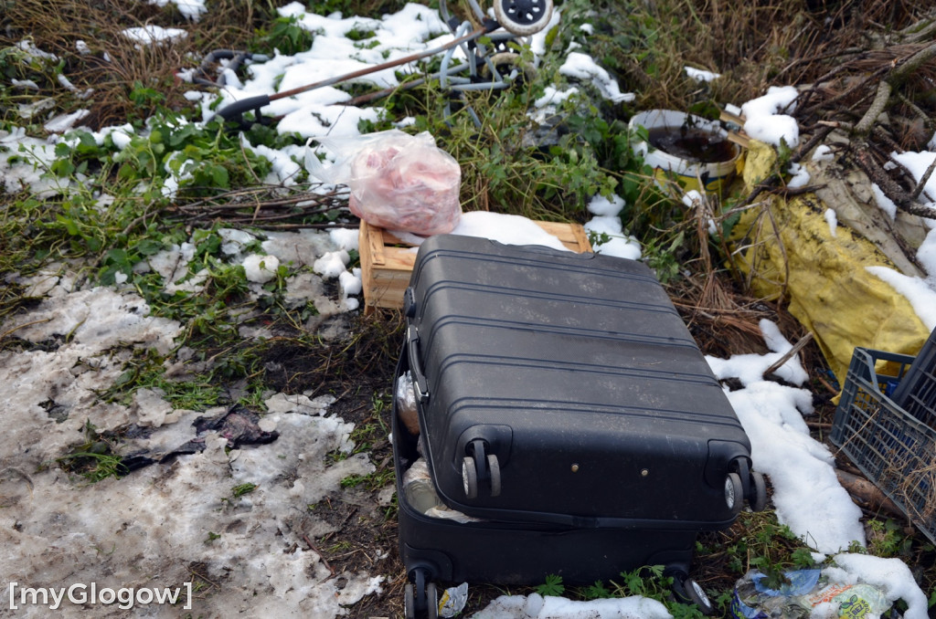 Zwierzęta żyły w strasznych warunkach