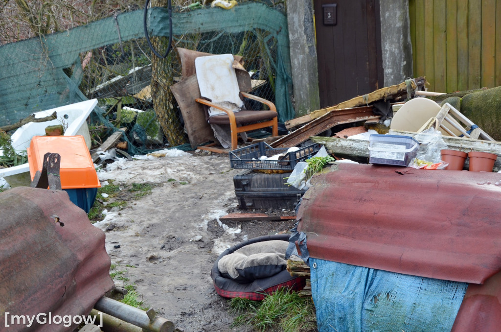 Zwierzęta żyły w strasznych warunkach