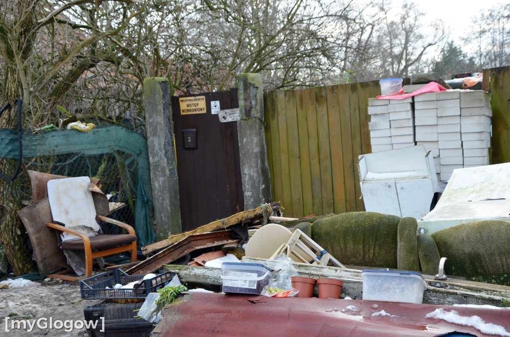 Zwierzęta żyły w strasznych warunkach