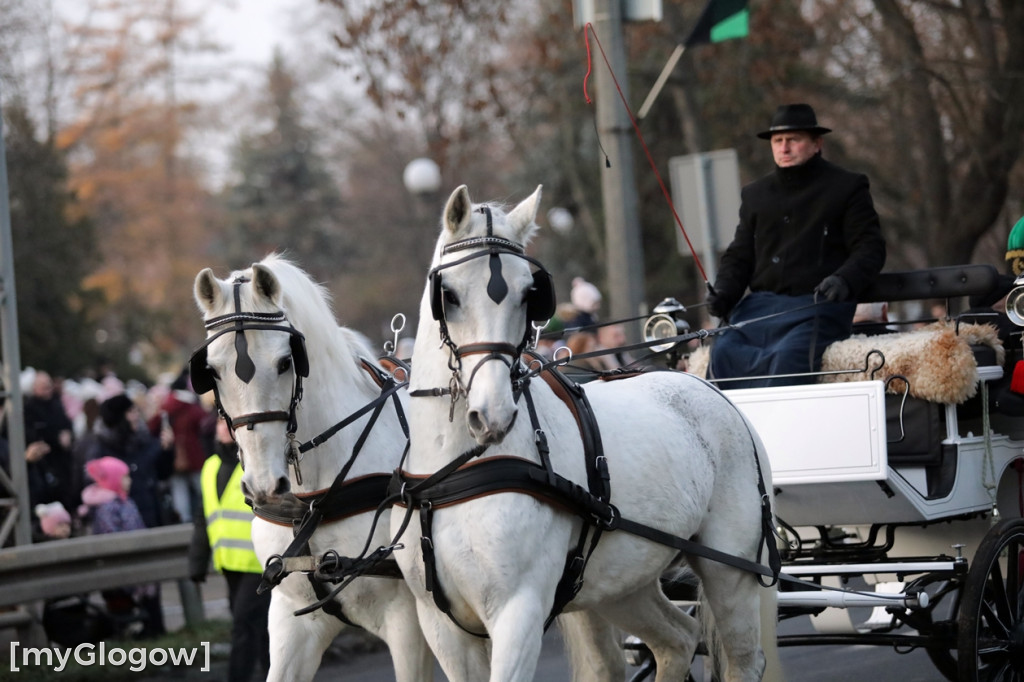 Pochód Lisa Majora przeszedł ulicami Głogowa