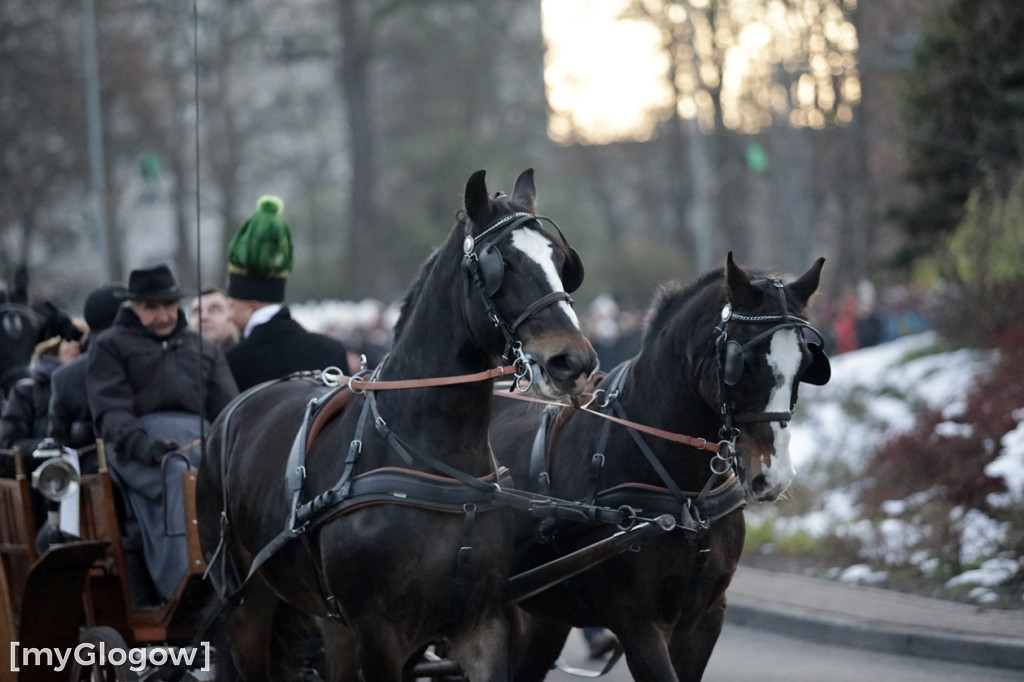 Pochód Lisa Majora przeszedł ulicami Głogowa