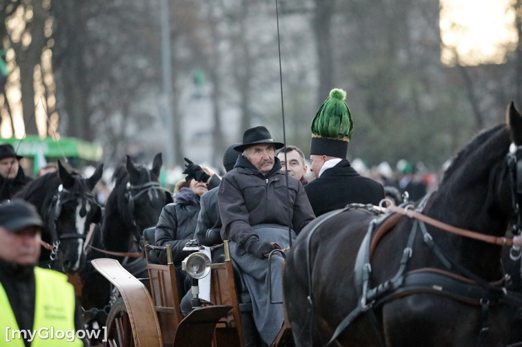 Pochód Lisa Majora przeszedł ulicami Głogowa