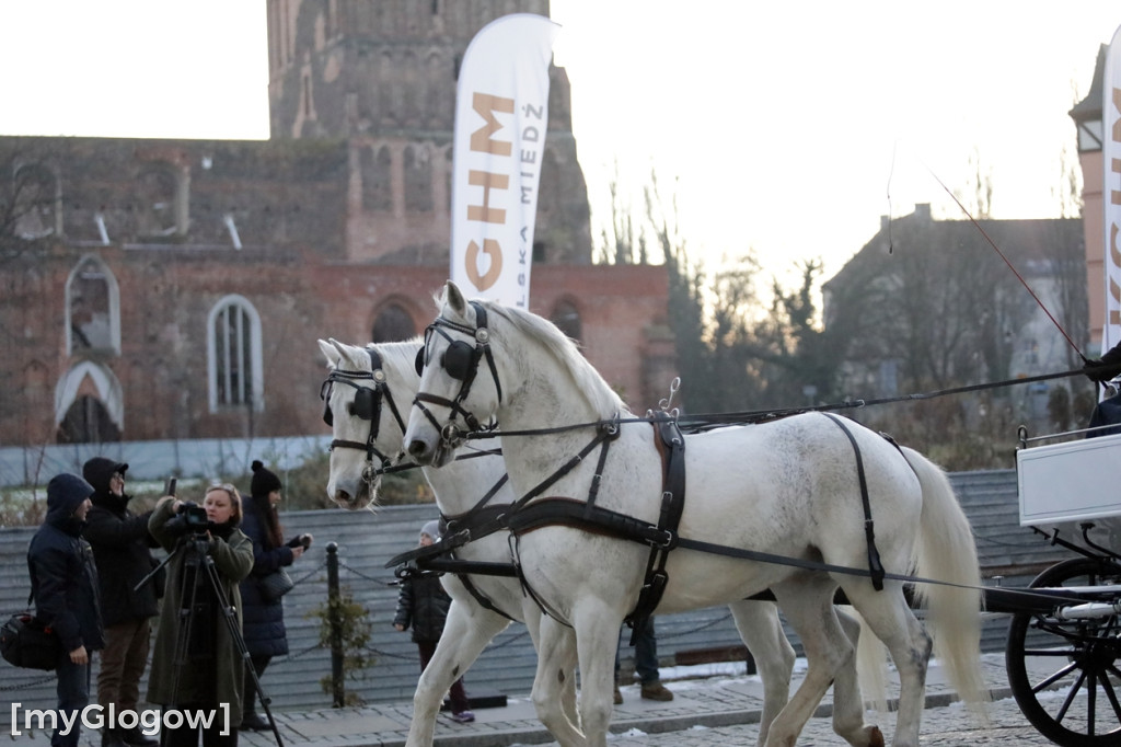 Pochód Lisa Majora przeszedł ulicami Głogowa