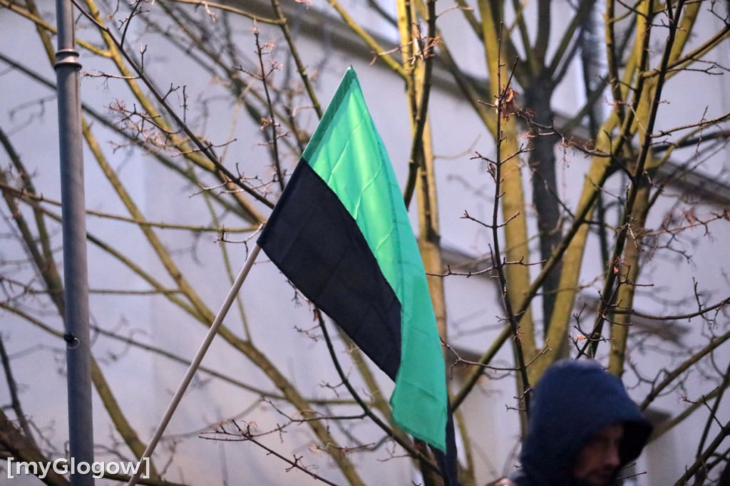 Pochód Lisa Majora przeszedł ulicami Głogowa