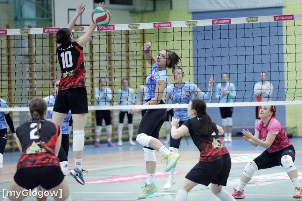 Siatkarski hit w Głogowie. Volley walczył