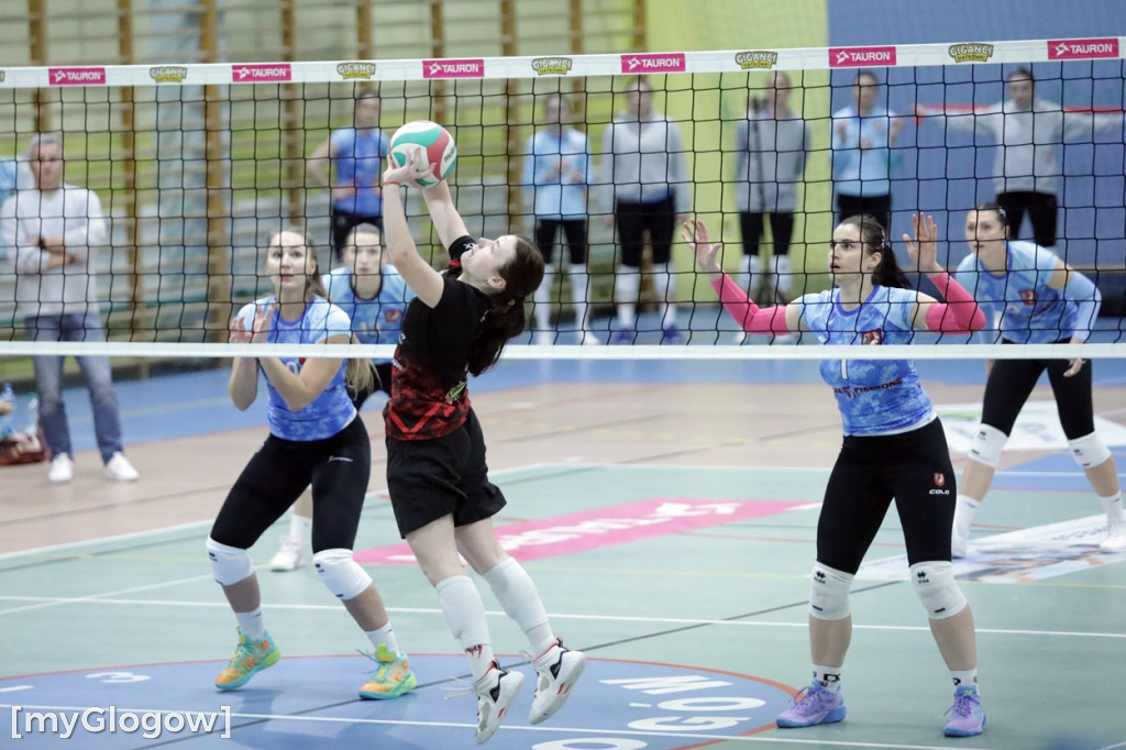 Siatkarski hit w Głogowie. Volley walczył