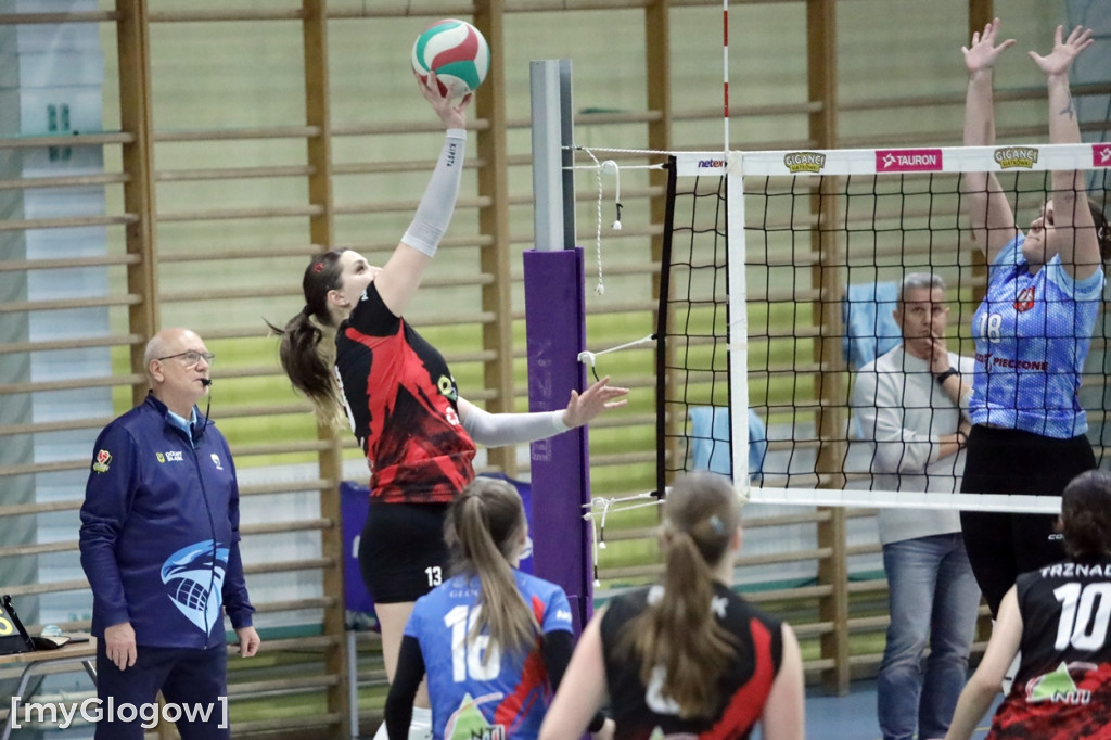 Siatkarski hit w Głogowie. Volley walczył