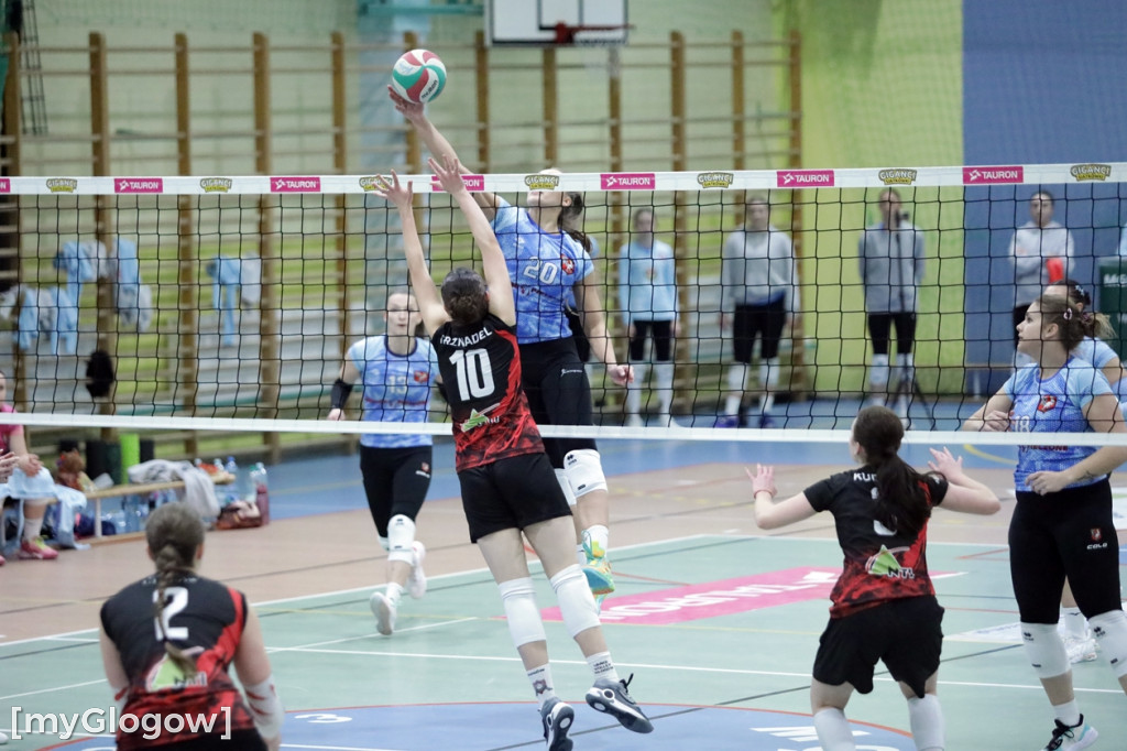 Siatkarski hit w Głogowie. Volley walczył