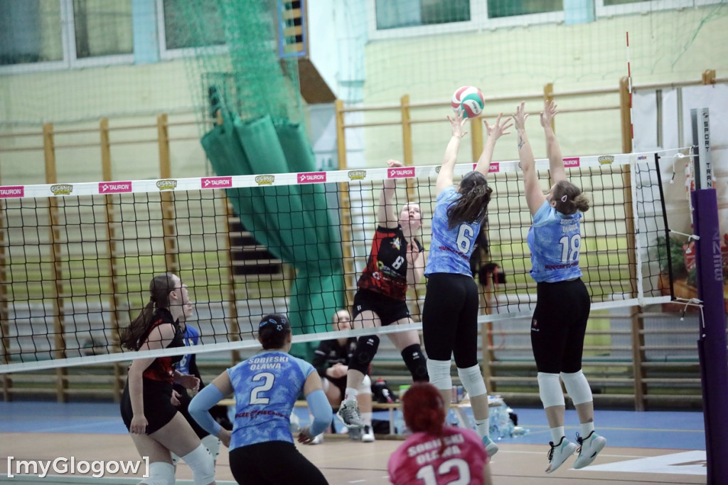 Siatkarski hit w Głogowie. Volley walczył