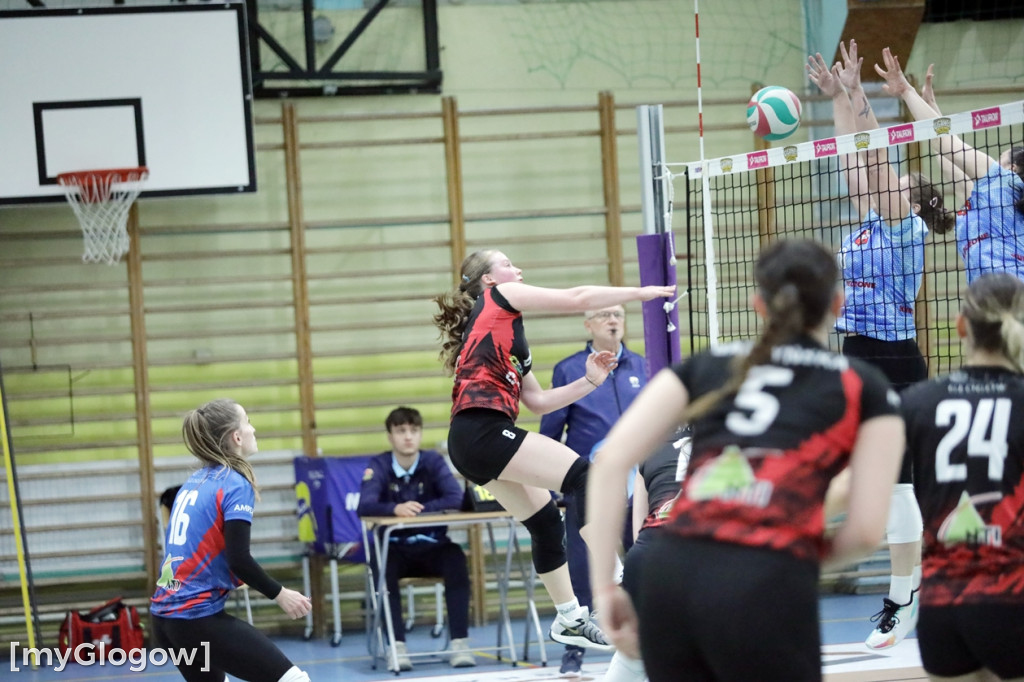 Siatkarski hit w Głogowie. Volley walczył