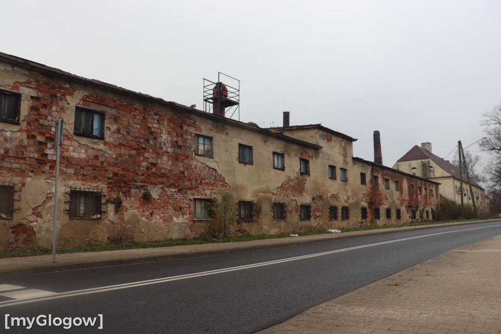 Zawalony pustostan w Brzegu Głogowskim