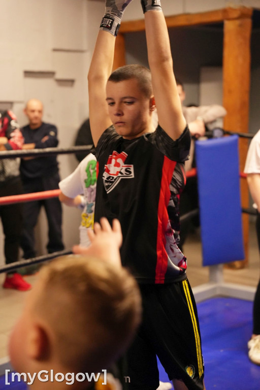 Mikołajkowy Turniej Bokserski UKS Boks Głogów