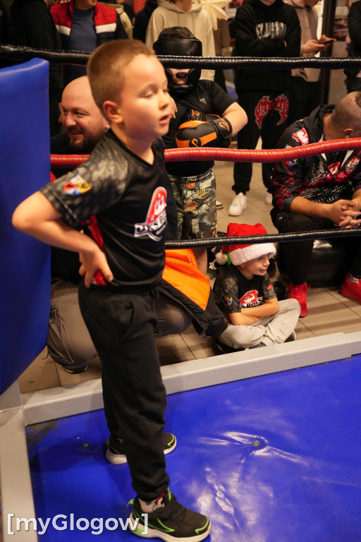 Mikołajkowy Turniej Bokserski UKS Boks Głogów