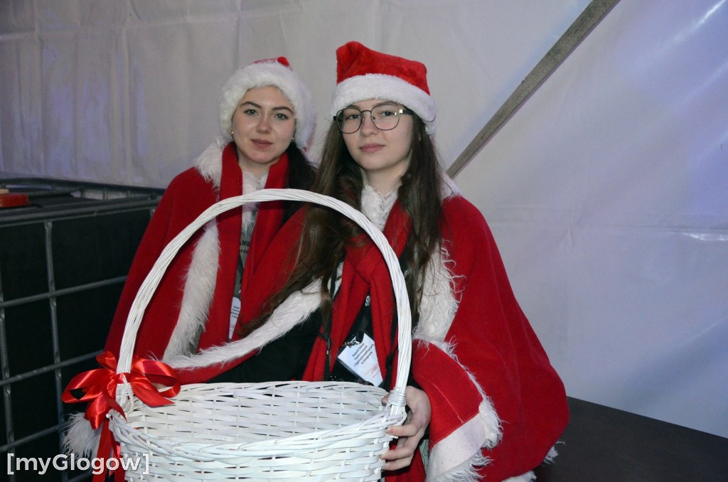 Koncert Haliny Mlynkovej w Głogowie