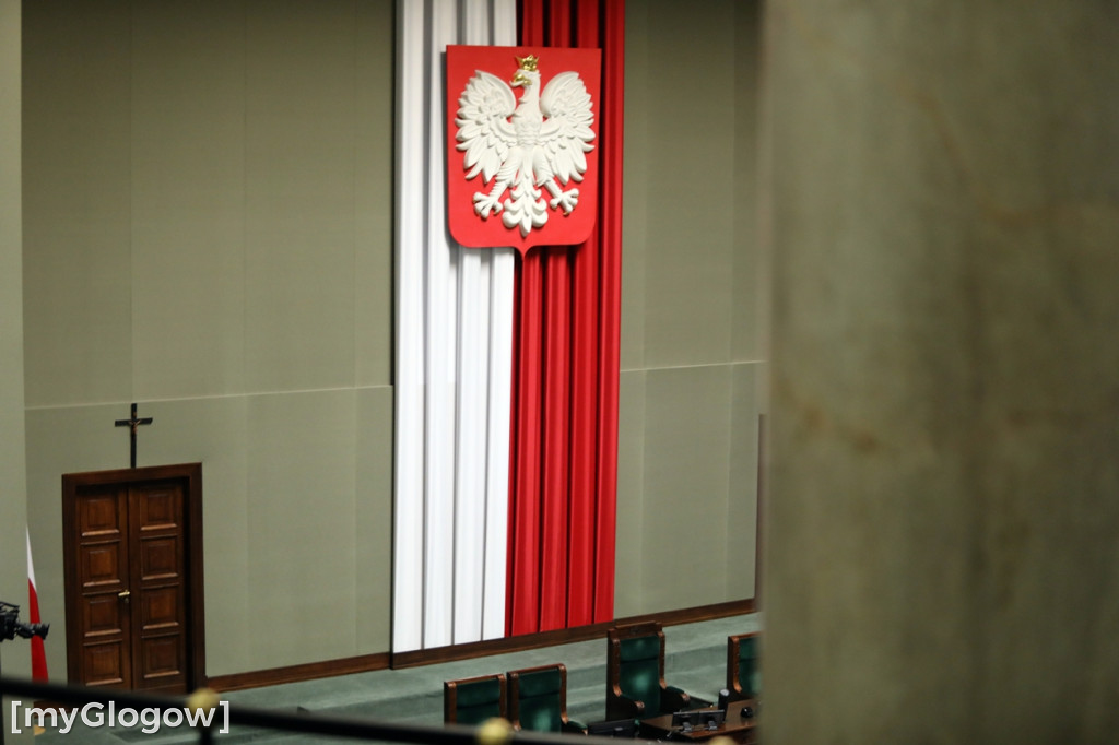 Młodzież z powiatu głogowskiego w Sejmie RP